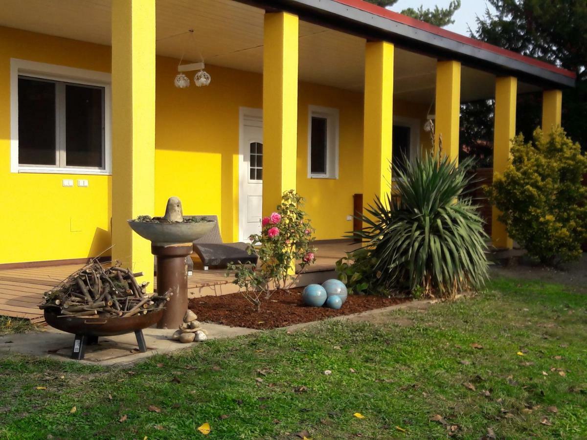 Bungalow at Lake Alte Donau Wien Exterior foto